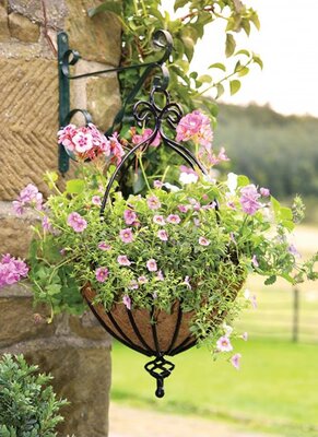 Spanish Hanging Basket 35cm - Image courtesy of Tom Chambers