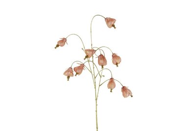 Image courtesy of Decostar