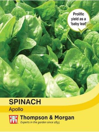 Spinach Apollo - image 1