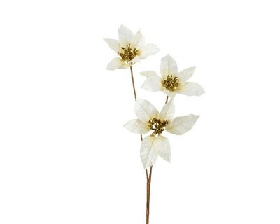 Image courtesy of Kaemingk