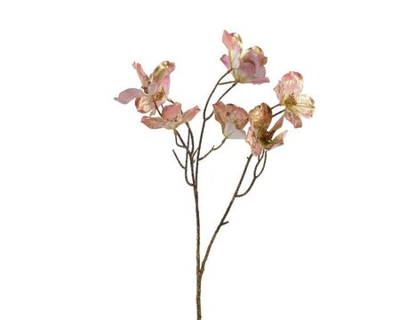 Image courtesy of Kaemingk