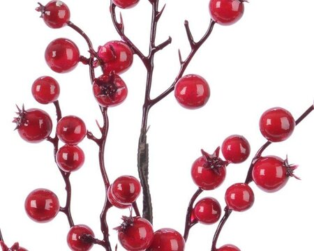 Image courtesy of Kaemingk