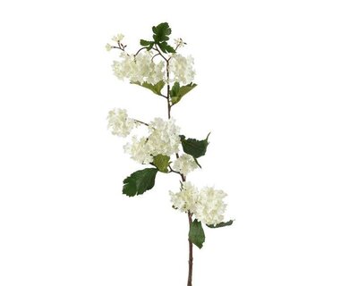 Spray with white flowers