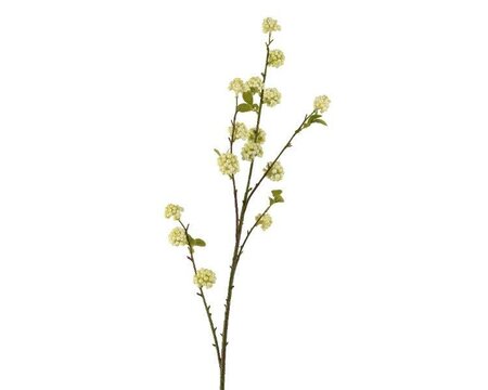 Spray with white foam berry bunches