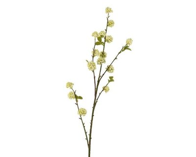 Spray with white foam berry bunches