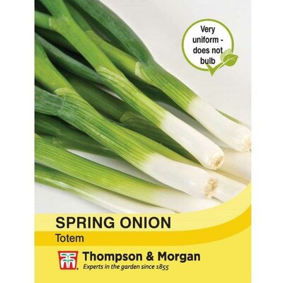 Spring Onion 'Totem' - Image courtesy of Thompson & Morgan