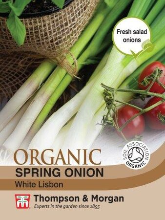 Spring Onion “White Lisbon” Organic - image 1