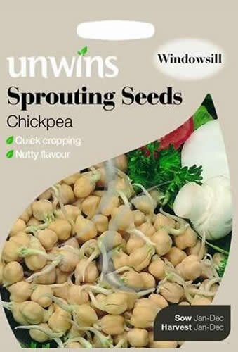 Sprouting Seeds Chickpea - image 1