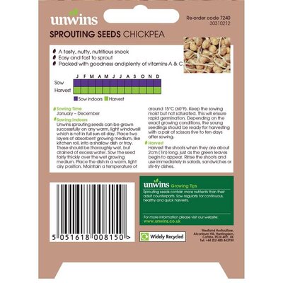 Sprouting Seeds Chickpea - image 2