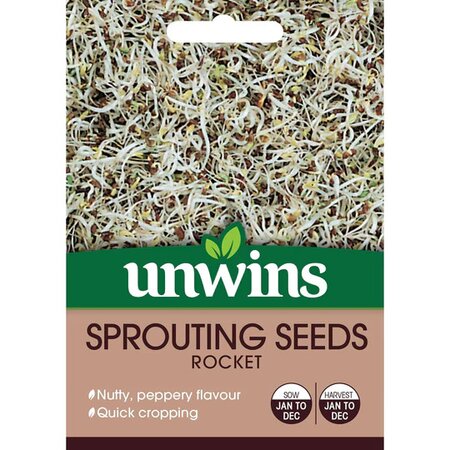 Sprouting Seeds Rocket (6000) - image 1