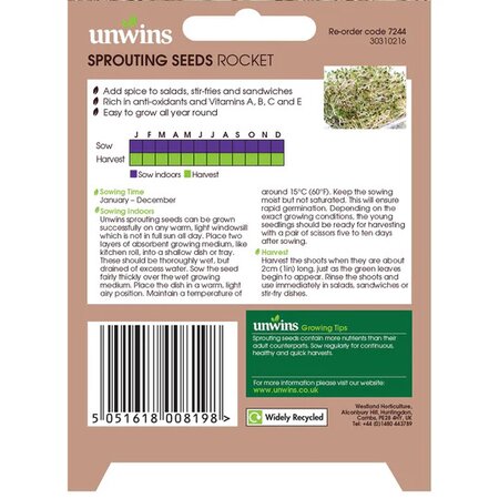 Sprouting Seeds Rocket (6000) - image 2