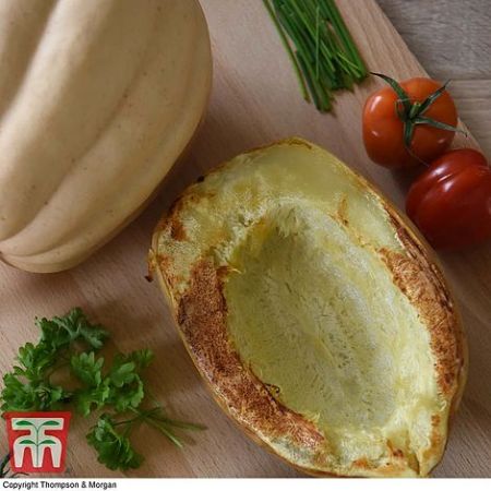 Squash 'Baked Potato' (12 seeds)