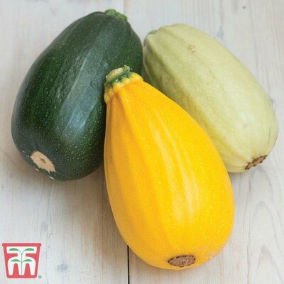 Squash 'Grillers Mix' - Image courtesy of Thompson & Morgan