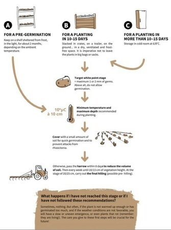 Image courtesy of Allied Irish Growers