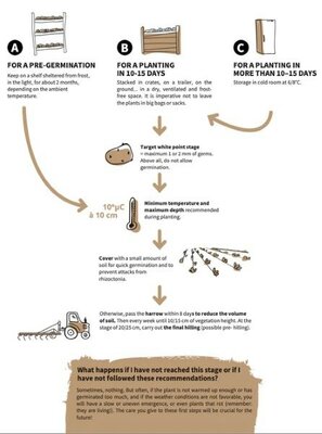 Image courtesy of Allied Irish Growers