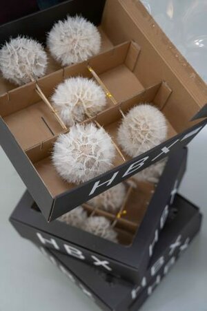 Image courtesy of HBX