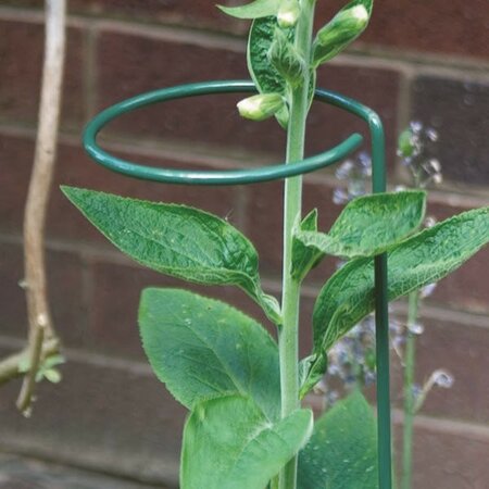 75cm Plant stake -Image courtesy of Unichem