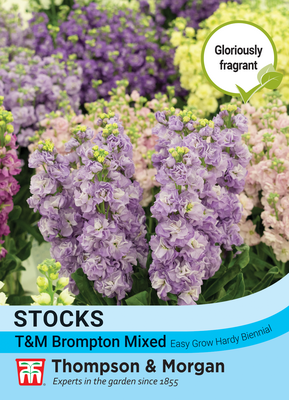 Stocks T&M Brompton Mixed  - Image courtesy of Branded Garden