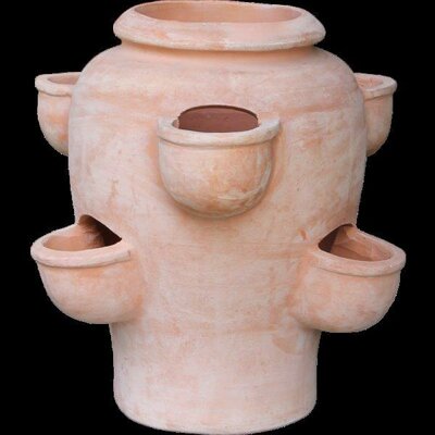 Strawberry Planter (50cm dia.)