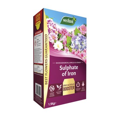 Sulphate of Iron 