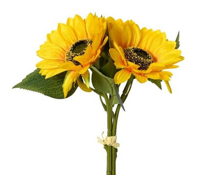 Sunflower bundle