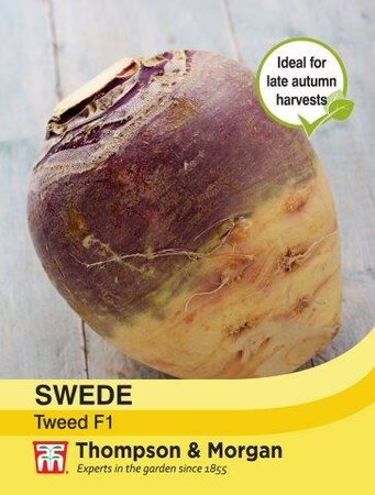 Swede Tweed - image 1
