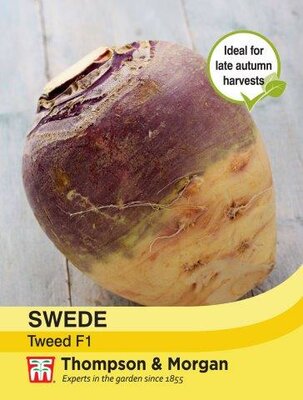 Swede Tweed - image 2