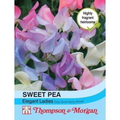 Sweet Pea Elegant Ladies - Image courtesy of T&M