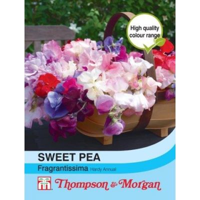 Sweet Pea Fragrantissima  - Image courtesy of T&M