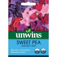 Sweet Pea Galaxy Mixed