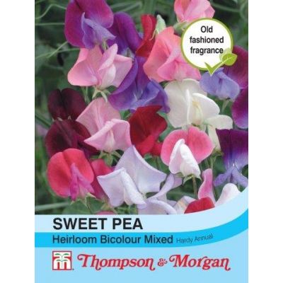 Sweet Pea Heirloom Bicolour Mix - Image courtesy of T&M