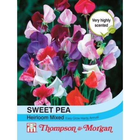 Sweet Pea Heirloom Mix  - Image courtesy of T&M