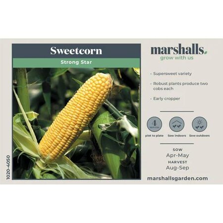 Image courtesy of Unwins Seeds