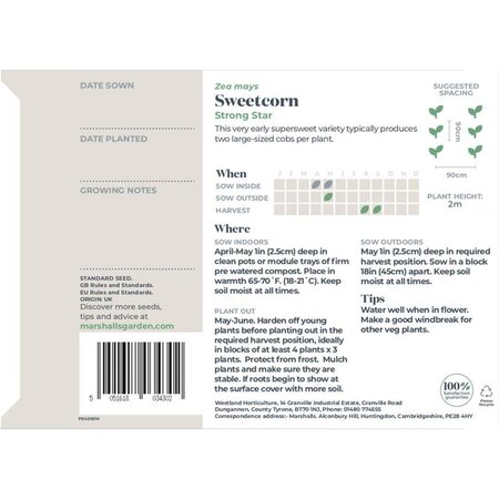 Sweetcorn Strong Star F1 - image 2