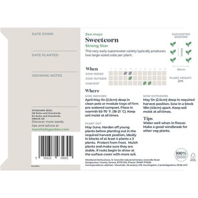 Sweetcorn Strong Star F1 - image 2