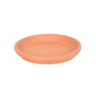 Terra Saucer (17cm dia.)