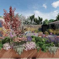 The Family Friendly Garden