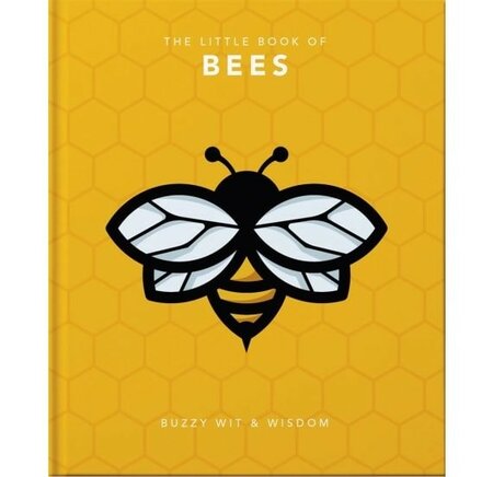 Image courtesy of AllSorted books