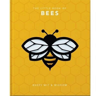 Image courtesy of AllSorted books