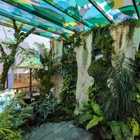 The Plant Collector's Balcony