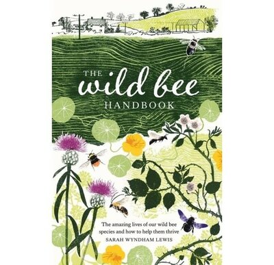 Image courtesy of AllSorted books