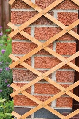 Timber Expandable Trellis (1.8 x 1.2m)