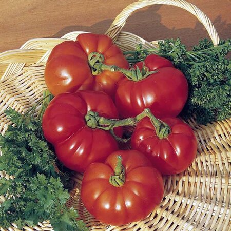 Tomato (Beefsteak) Marmande - image 1