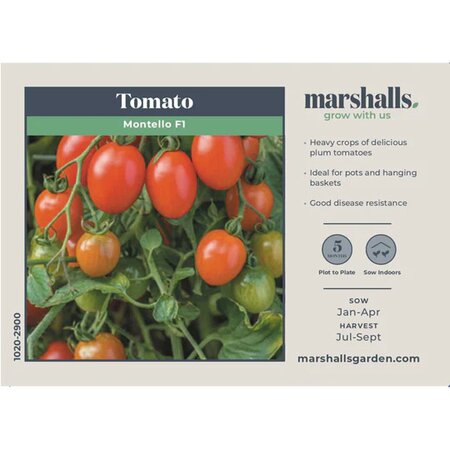 Tomato (Cherry Plum) Montello F1 (6) - image 1