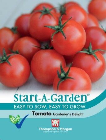 Tomato Gardeners Delight - image 1
