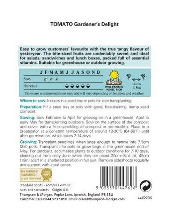 Tomato Gardeners Delight - image 2