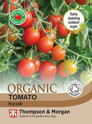 Tomato “Koralik” Organic - image 1