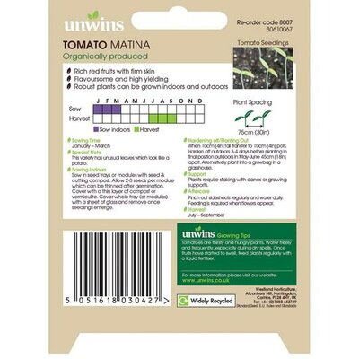 Tomato (Round) Matina (Organic) (45) - image 2