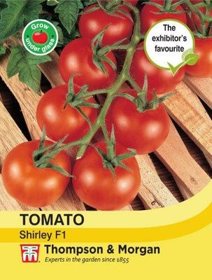 Tomato Shirley F1 Hybrid - image 1