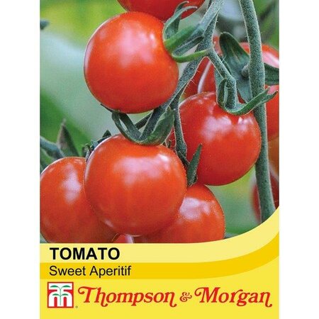 Tomato 'Sweet Aperitif' - Image courtesy of Thompson & Morgan